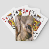 ELEPHANT SPIELKARTEN (Rückseite)