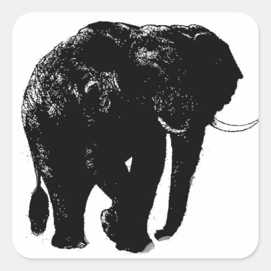 Elephant Square Sticker (Vorderseite)