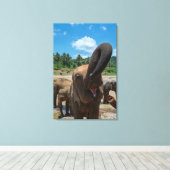 Elephant Sri Lanka Leinwanddruck (Insitu (Holzboden))