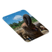 Elephant Sri Lanka Magnet (Rechte Seite)