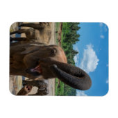 Elephant Sri Lanka Magnet (Horizontal)