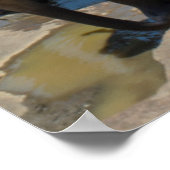 Elephant Sri Lanka Poster (Ecke)