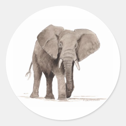Elephant Sticker (Vorderseite)