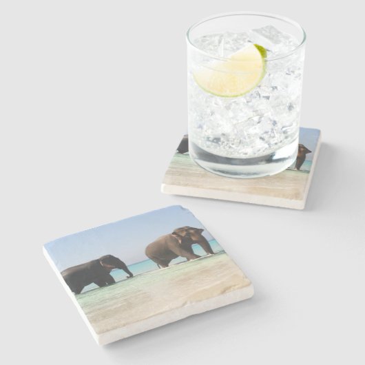 Elephant Stone Untersetzer (Seitenansicht)