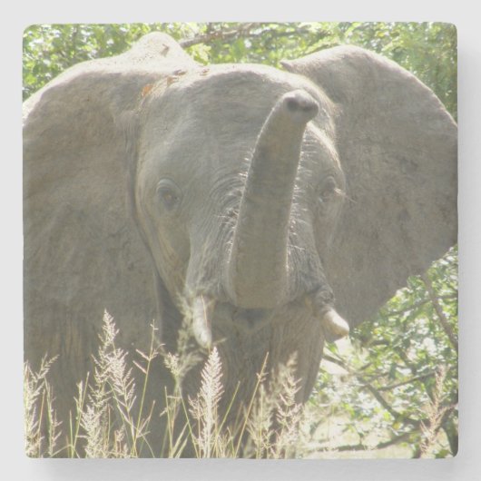 Elephant Stone Untersetzer (Vollfarbe) (Vorderseite)