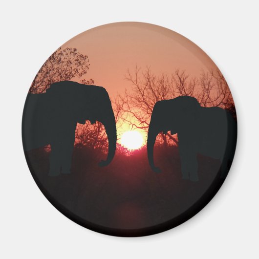 Elephant Sunset Silhouette Magnet (Vorne)