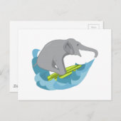 Elephant Surfer Postkarte (Vorne/Hinten)