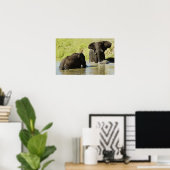 Elephant swimming (african elephant) poster, print poster (Heimbüro)
