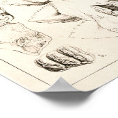 Elephant Teeth Veterinary Dental Anatomie Print Poster (Ecke)