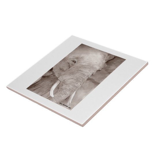 elephant tile fliese (Seite)