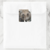 Elephant Trunk Stickers (Tasche)