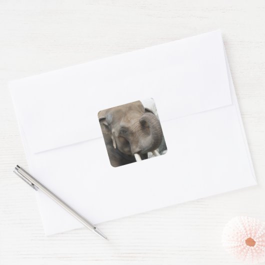 Elephant Trunk Stickers (Umschlag)