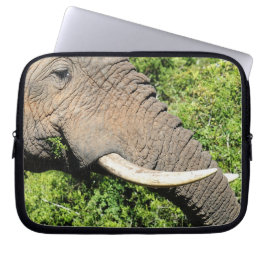 Elephant Tusks Laptopschutzhülle
