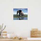 Elephant und Baby Poster (Küche)