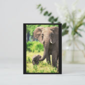 Elephant und Baby Postkarte (Stehend Vorderseite)