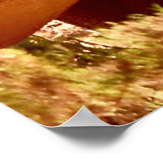 ELEPHANT UND RHINO MÖGEN SICH NICHT POSTER (Ecke)