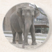 ELEPHANT Untersetzer (Vorne)