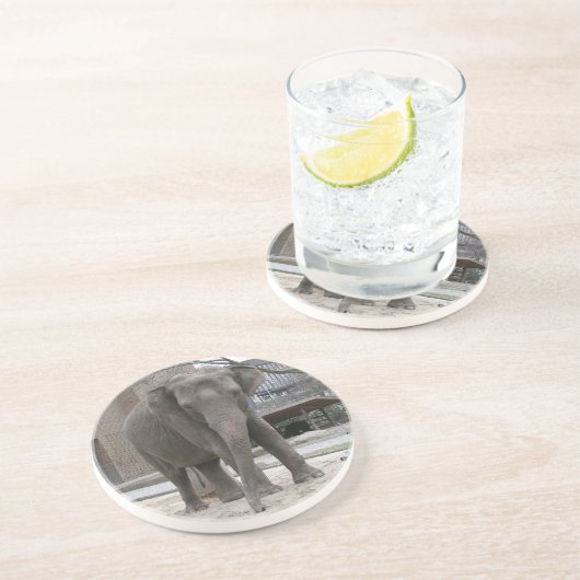 ELEPHANT Untersetzer (Seite)