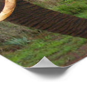 Elephant Upload in Africa Poster (Ecke)