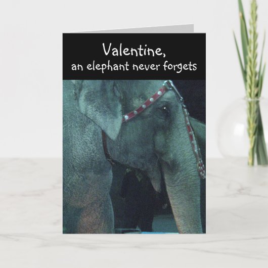 ELEPHANT, VALENTINE-Karte Feiertagskarte (Vorderseite)