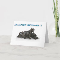 Elephant vergisst nie die 12x18 der Freundschaft m