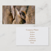 ELEPHANT VISITENKARTE (Vorne/Hinten)