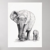 Elephant Walk Poster (Vorne)