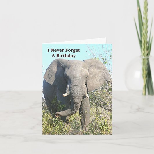 ELEPHANT WALKING TO KAMERA KARTE (Vorderseite)