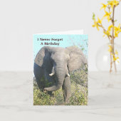 ELEPHANT WALKING TO KAMERA KARTE (Gelbe Blume)