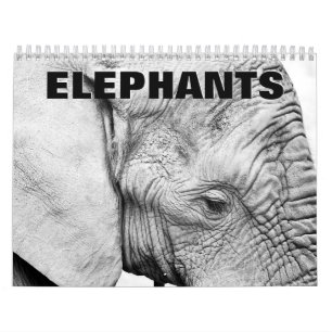 Elephant Wall Calendar Kalender