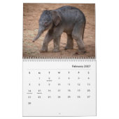 Elephant Wall Calendar Kalender (Feb 2027)