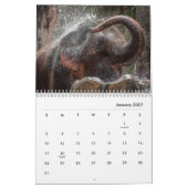 Elephant Wall Calendar Kalender (Jan 2027)