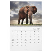 Elephant Wall Calendar Kalender (Mär 2027)