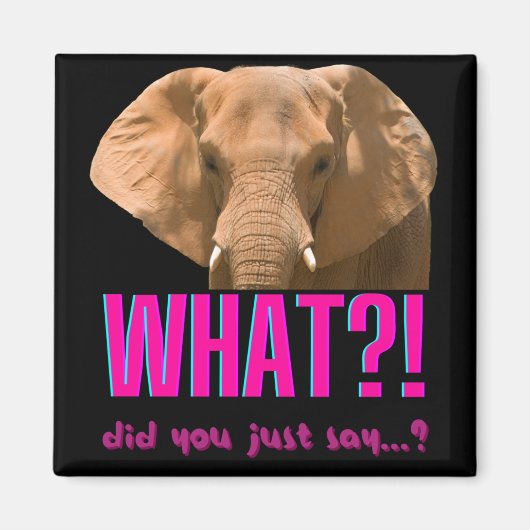Elephant What Did You Just Say? Magnet (Vorne)