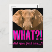 Elephant What Did You Just Say? Postkarte (Vorne/Hinten)