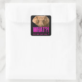 Elephant What Did You Just Say? Quadratischer Aufkleber (Tasche)