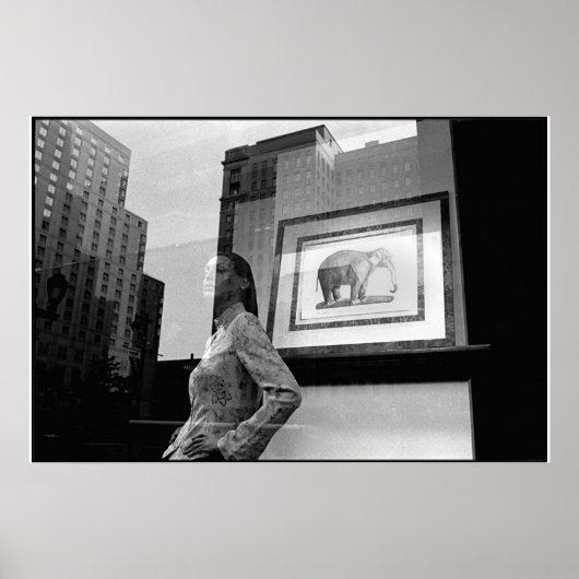 Elephant Window Poster (Vorne)