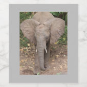 Elephant Wine Label Weinetikett (Einzelnes Label)