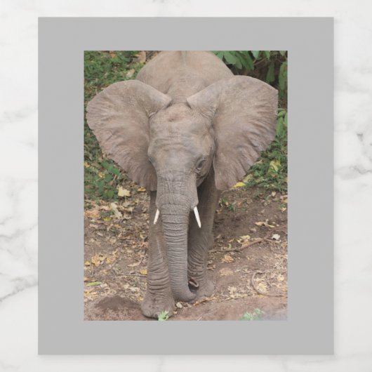 Elephant Wine Label Weinetikett (Einzelnes Label)