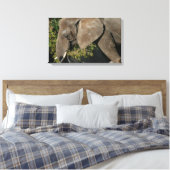 Elephant Wrapped Canvas Leinwanddruck (Insitu (Schlafzimmer))