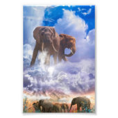 ELEPHANTE GEBIETE DES Kilimanjaro Fotodruck (Vorne)