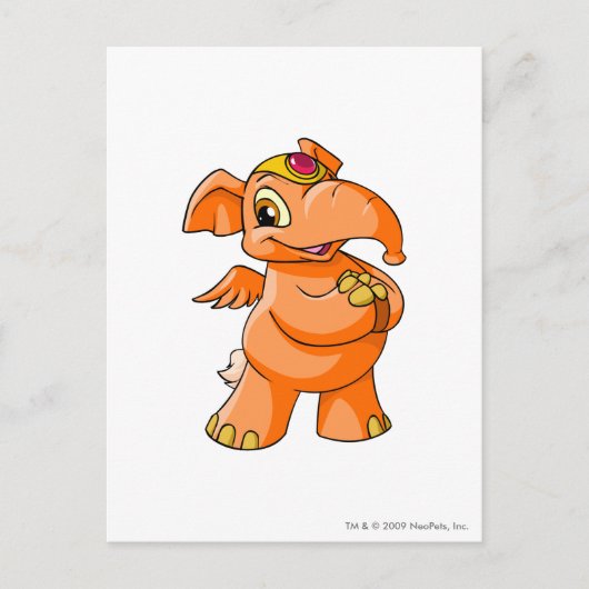 Elephante Orange Postkarte (Vorderseite)