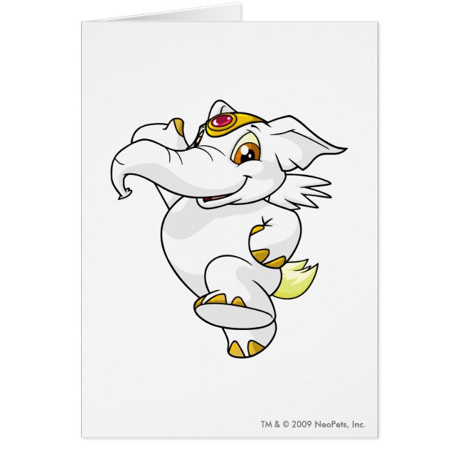 Elephante Weiß (Vorne)