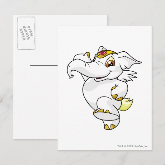 Elephante White Postkarte (Vorne/Hinten)