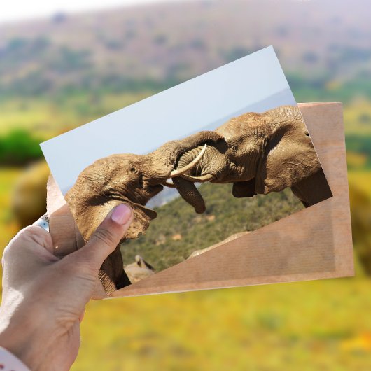 Elephanten Tussling Postcard Postkarte