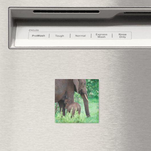 Elephantlaktation Magnet (In Situ (Geschirrspüler))