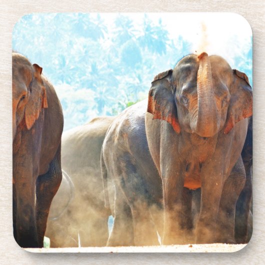 Elephants Animals Safari Destiny Peace Liebe Untersetzer (Vorderseite)