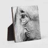 Elephants Eye, 2017 Fotoplatte (Vorderseite)