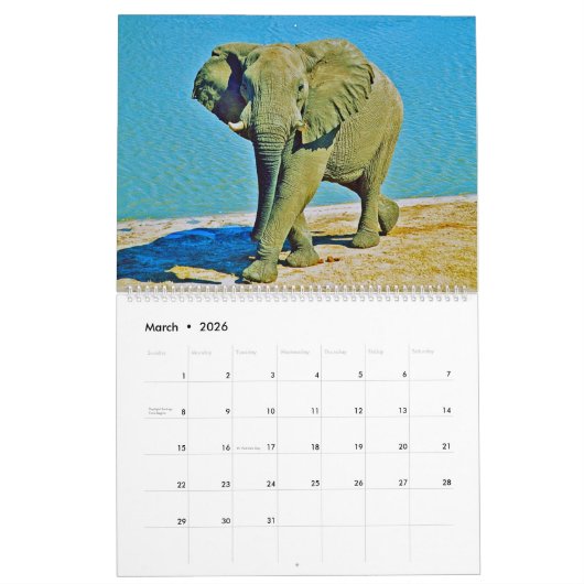 elephants kalender (Mär 2026)