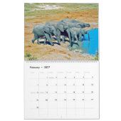 elephants  kalender (Feb 2027)